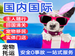乌鲁木齐地窝堡机场货运国际宠物托运 【国